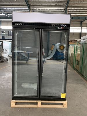Охладитель двери R404a чистосердечный двойной стеклянный со стеклом Frost свободным низким e